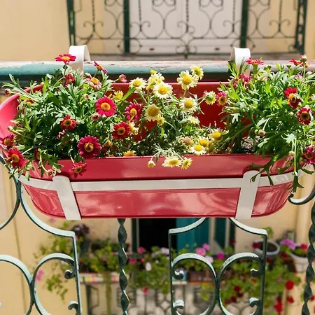 Cozy Center Av Liberdade Apartman